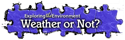 Weather or Not website logo